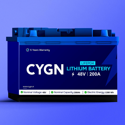 48V 200Ah LITHIUM BATTERY (LIFEPO4)